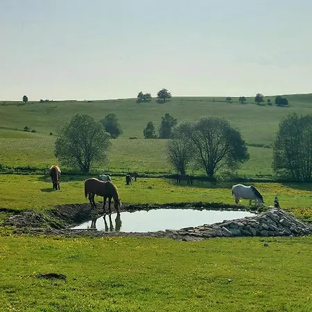 Dom wakacyjny Glamping Morava *